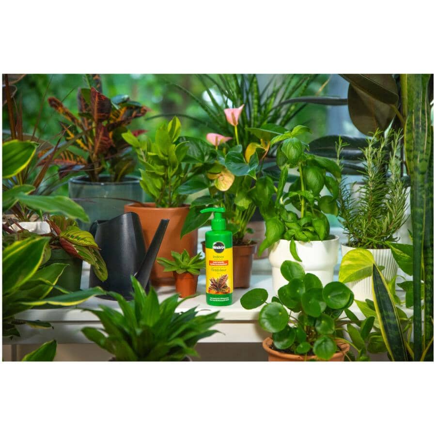 All Purpose Indoor Foam Plant Food - 236mL