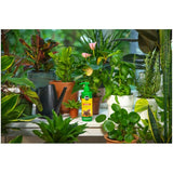 All Purpose Indoor Foam Plant Food - 236mL