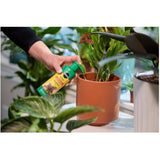 All Purpose Indoor Foam Plant Food - 236mL