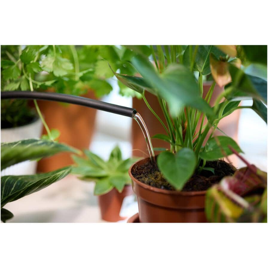 All Purpose Indoor Foam Plant Food - 236mL