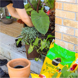 All Purpose Potting Soil Mix - 25 L