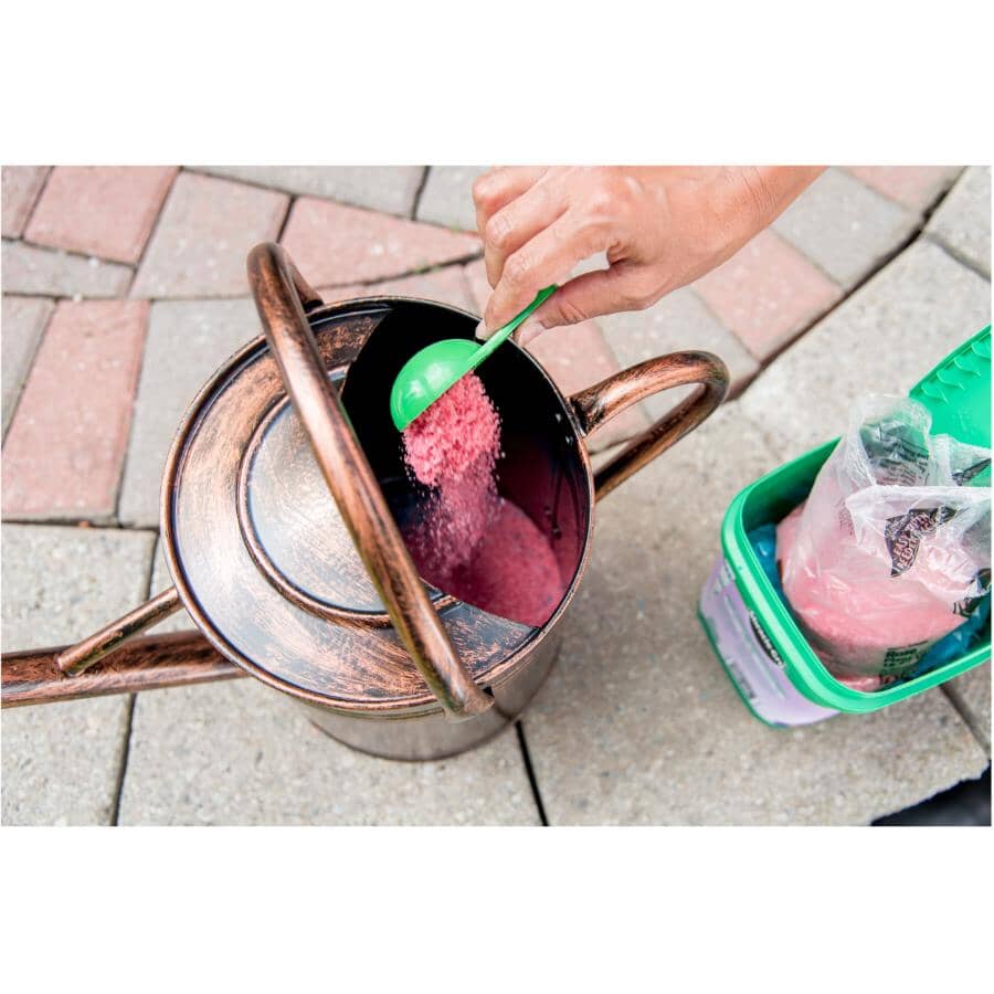 Bloom Booster Plant Food - 15-30-15 + Water Soluble, 1.5 kg