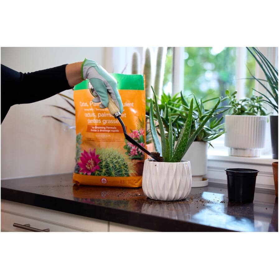 Cactus, Palm & Succulent Potting Mix Soil - 8.8 L