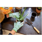 Cactus, Palm & Succulent Potting Mix Soil - 8.8 L