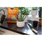 Cactus, Palm & Succulent Potting Mix Soil - 8.8 L