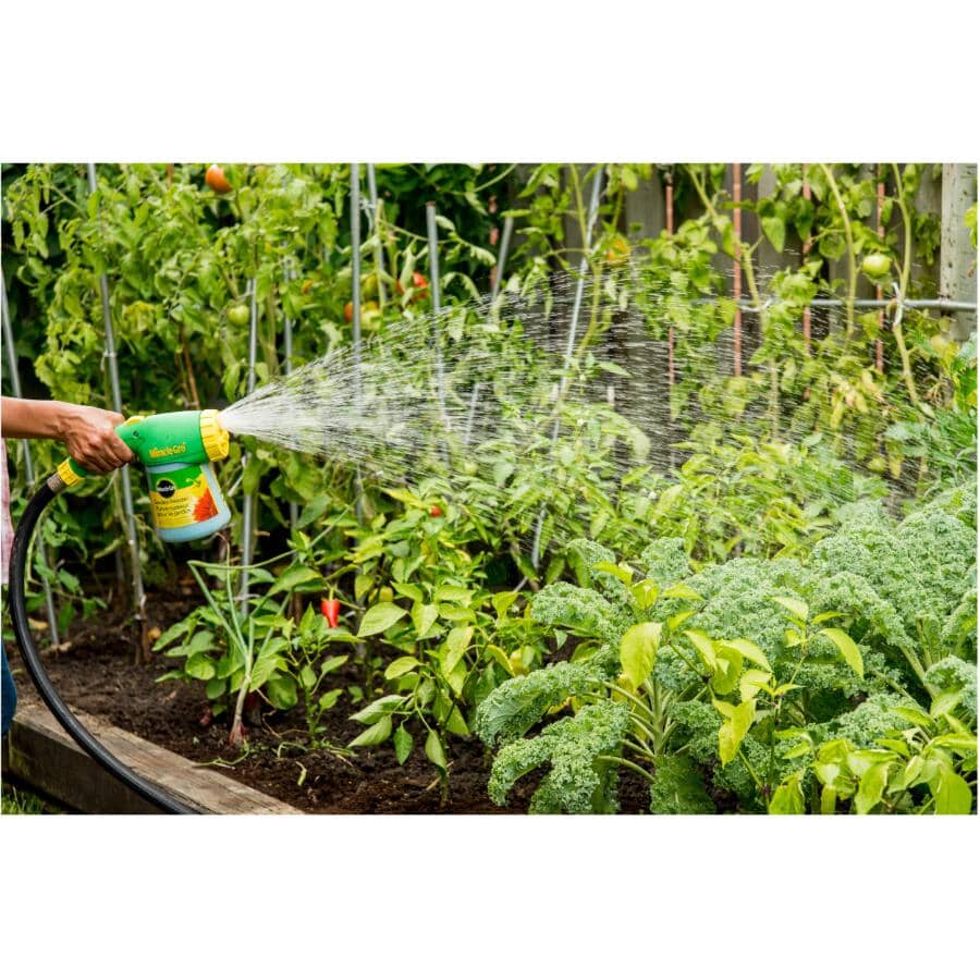 Garden Feeder Hose End Sprayer, with All Purpose Plant Food