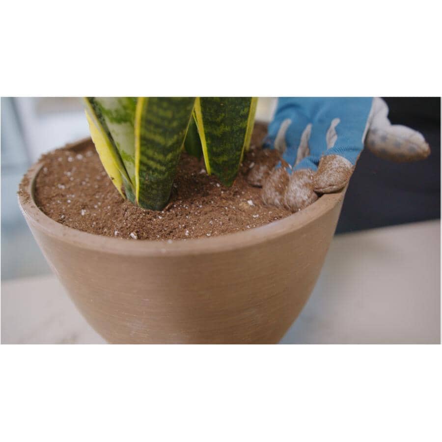 Indoor Potting Soil Mix - 8.8 L – Atkinson Home Hardware