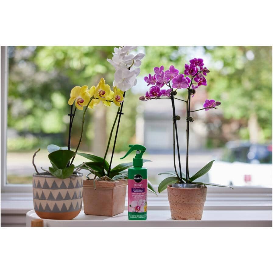 Orchid Plant Food Mist Fertilizer - Ready-To-Use, 236 ml