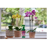 Orchid Plant Food Mist Fertilizer - Ready-To-Use, 236 ml