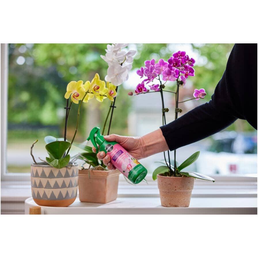 Orchid Plant Food Mist Fertilizer - Ready-To-Use, 236 ml