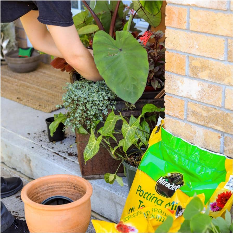 Potting Soil Mix - 50 L