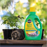 Quick Start Planting & Transplant Solution - 4-12-4, 1.42 L