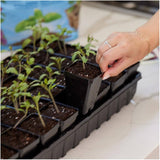 Seed Starting Plant Food - 1-0.5-1, 236 ml