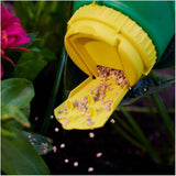 Shake 'n Feed All Purpose Plant Food - 12-4-8, 2.04 kg