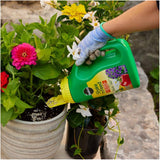 Shake 'n Feed All Purpose Plant Food - 12-4-8, 2.04 kg