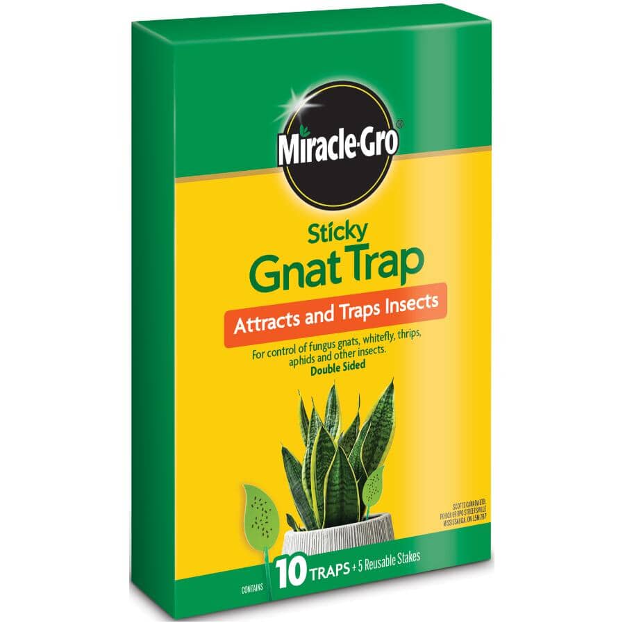 Sticky Gnat Traps - 10 Pack
