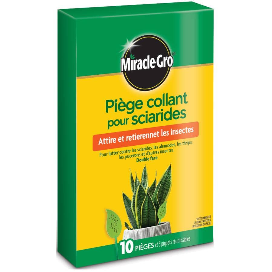 Sticky Gnat Traps - 10 Pack