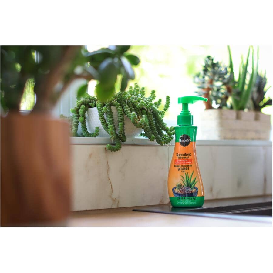 Succulent Plant Food - 0.5-1-1 - 236 ml
