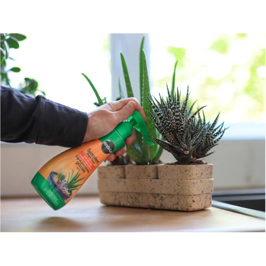 Succulent Plant Food - 0.5-1-1 - 236 ml