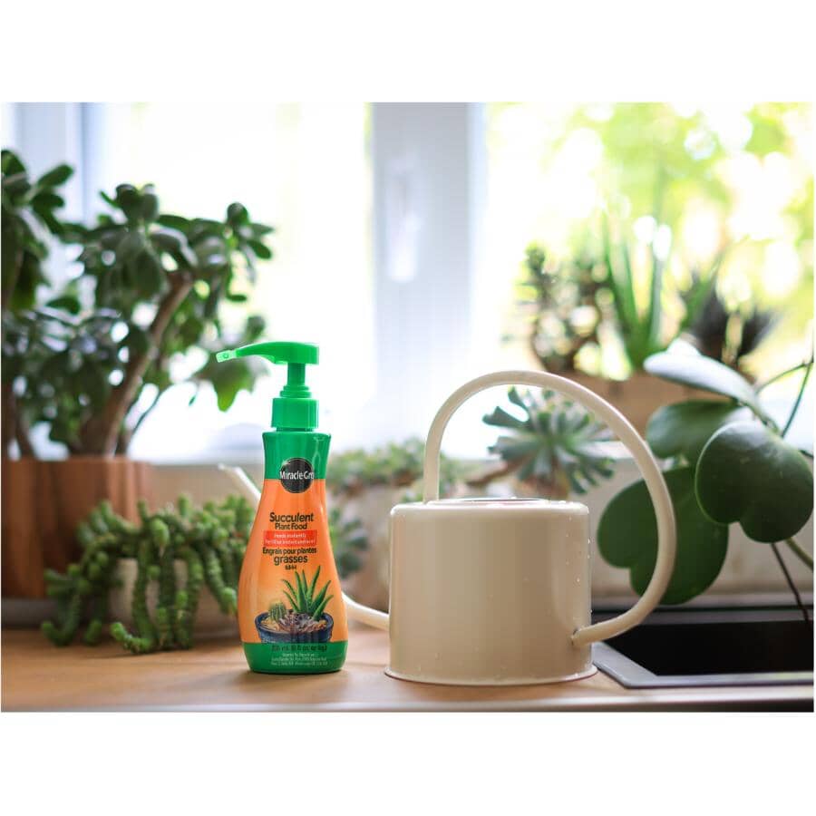 Succulent Plant Food - 0.5-1-1 - 236 ml