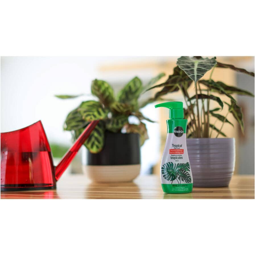 Tropical Plant Food - 1-0.5-1, 236 ml