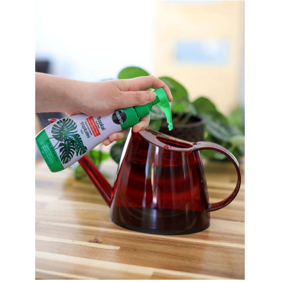 Tropical Plant Food - 1-0.5-1, 236 ml