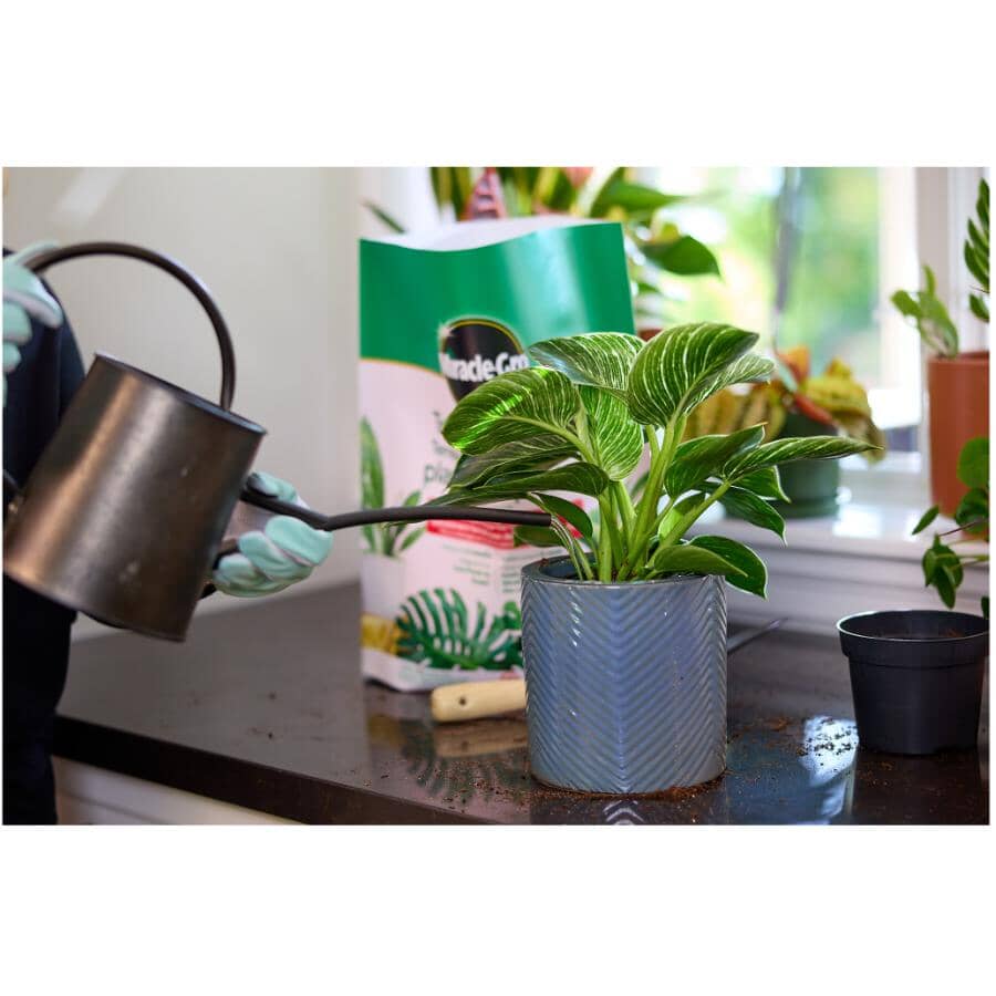 Tropical Potting Soil Mix - 8.8L