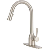 Adler Single Handle Pull-Down Kitchen Faucet - Spot Resistant Stainless Steel