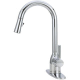 Adler Single Handle Pull-Down Kitchen Faucet - Chrome