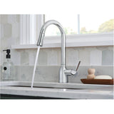 Adler Single Handle Pull-Down Kitchen Faucet - Chrome