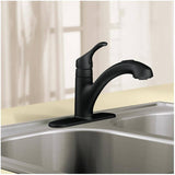 Renzo Single Handle Pull-Out Kitchen Faucet - Matte Black