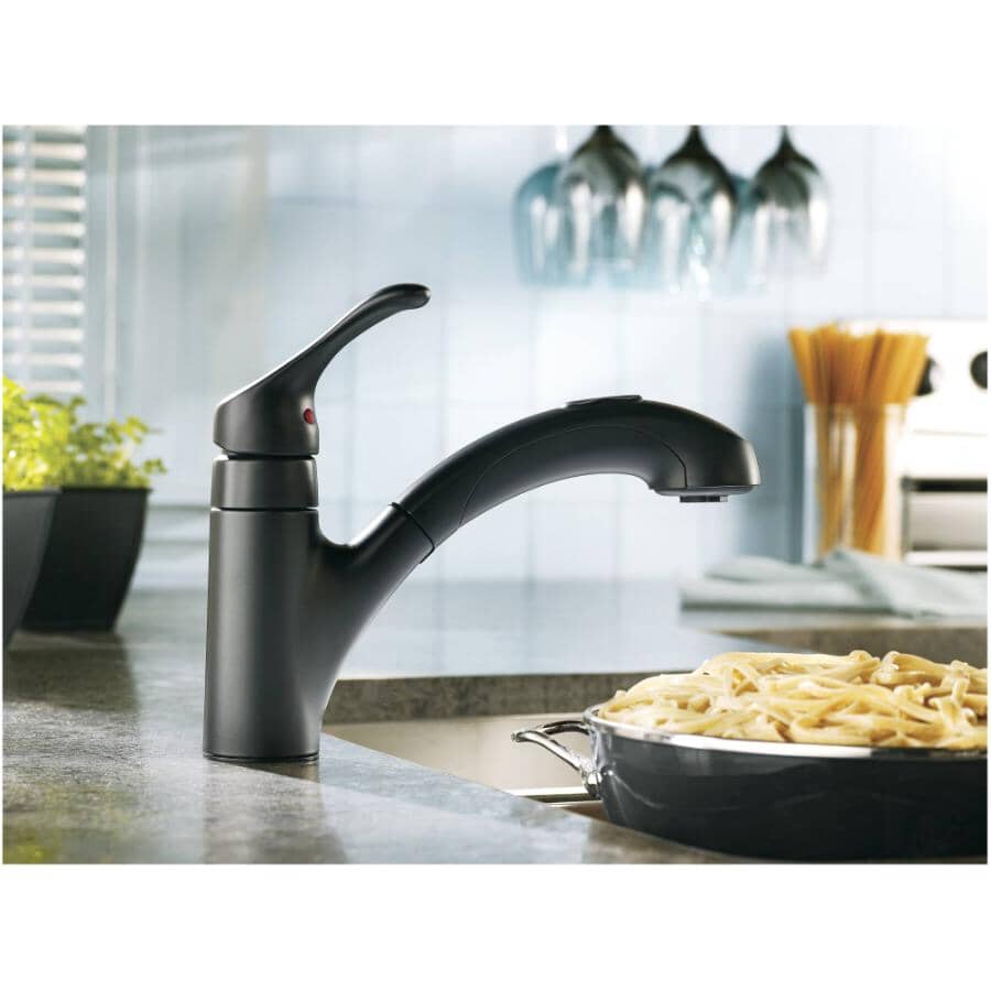 Renzo Single Handle Pull-Out Kitchen Faucet - Matte Black