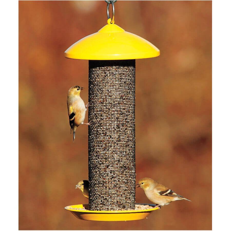 13" Finch Screen Bird Feeder - Yellow, 1.6 lb Capacity