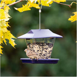 Ranch Hopper Bird Feeder - Purple, 1.7 lb Capacity