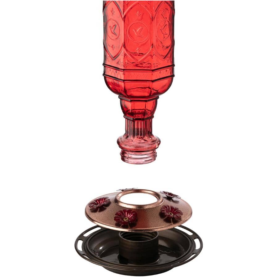 Red Jewel Glass Hummingbird Feeder - 20 oz Capacity