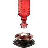 Red Jewel Glass Hummingbird Feeder - 20 oz Capacity