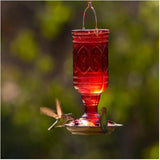 Red Jewel Glass Hummingbird Feeder - 20 oz Capacity