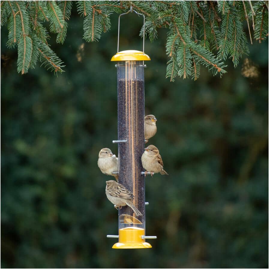 Topsy Tails Finch Bird Feeder - 1.5 lb Capacity, Yellow