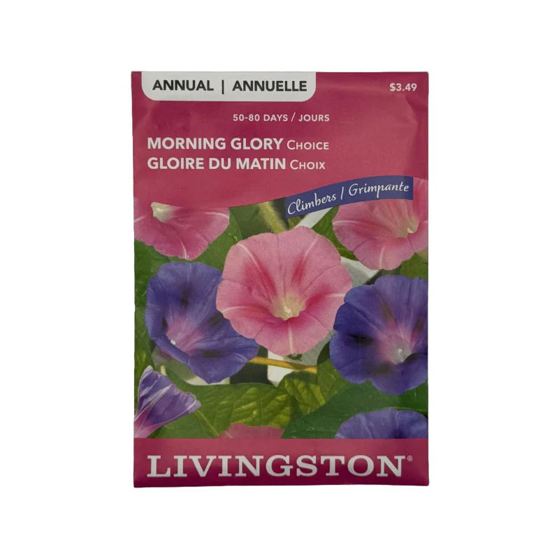 Morning Glory Choice Mix Seeds
