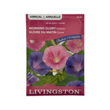 Morning Glory Choice Mix Seeds