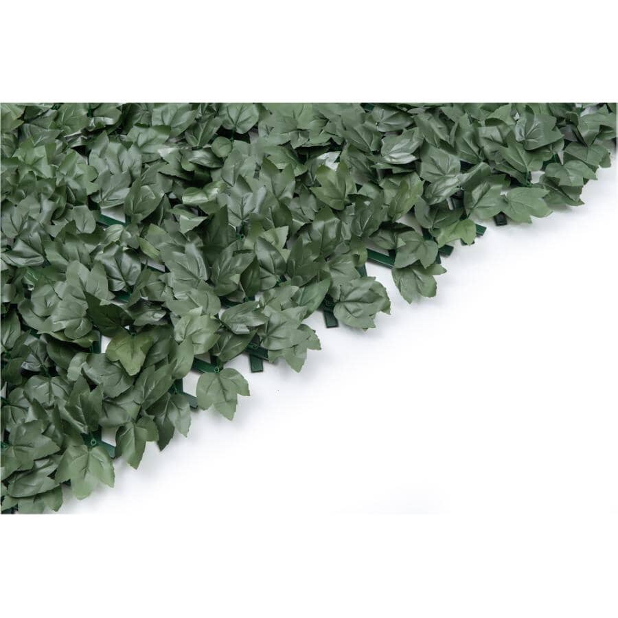 Expandable PVC Trellis with Ivy Leaf - 36" x 72"