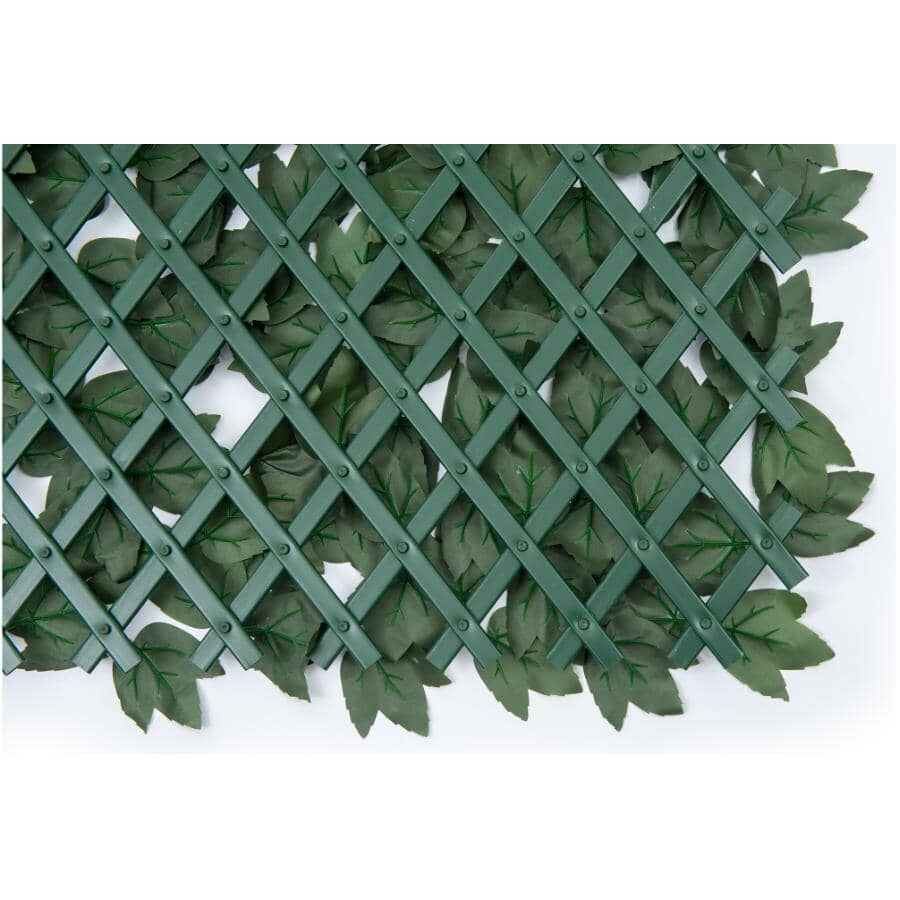 Expandable PVC Trellis with Ivy Leaf - 36" x 72"