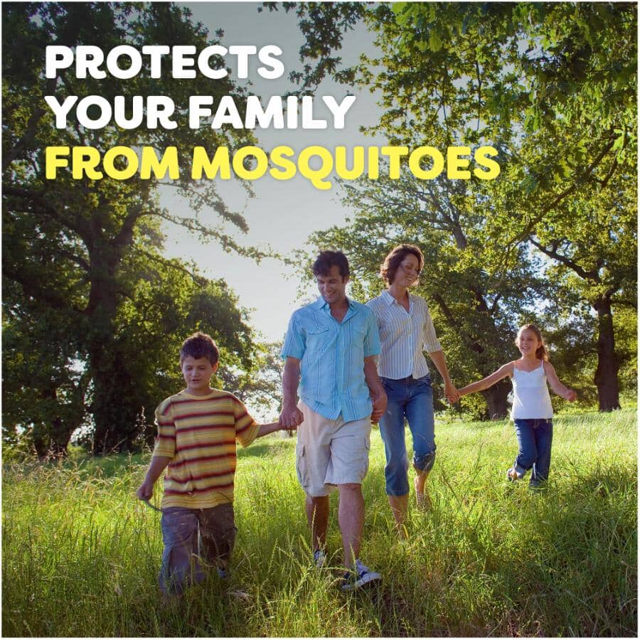 Deep Woods Sportsmen Insect Repellent - 2 Pack, 230 g