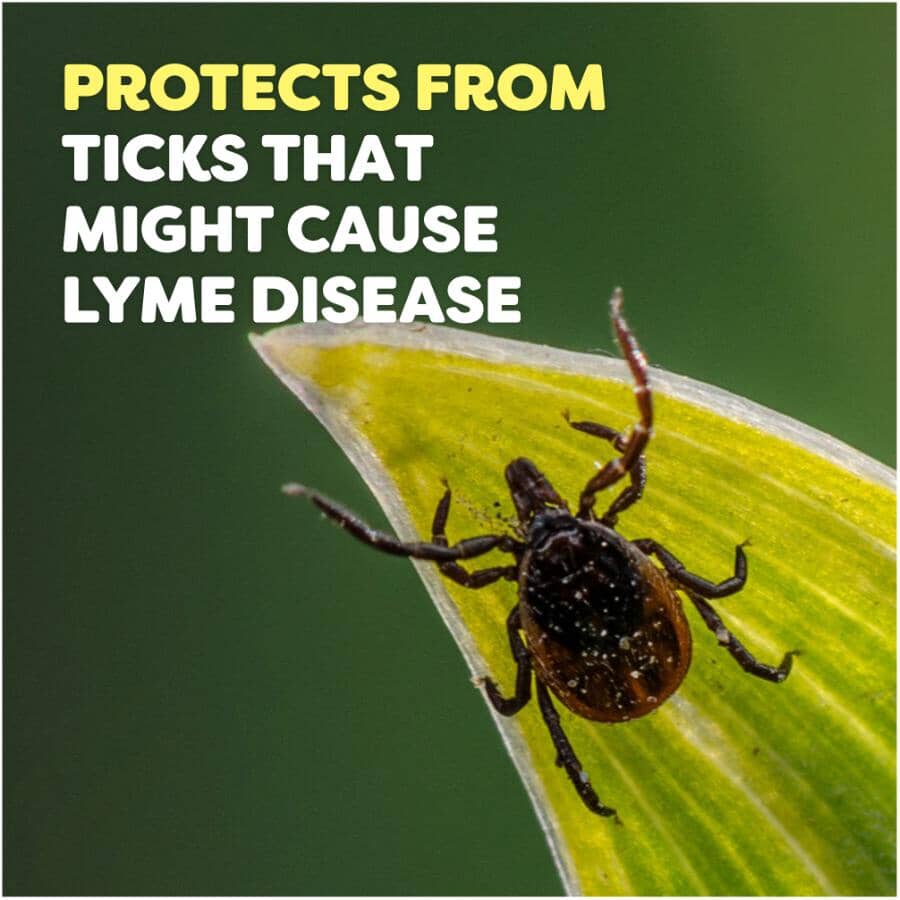 Deep Woods Tick Insect Repellent - 255 g