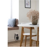 Portable Plug-in Heater - 350W