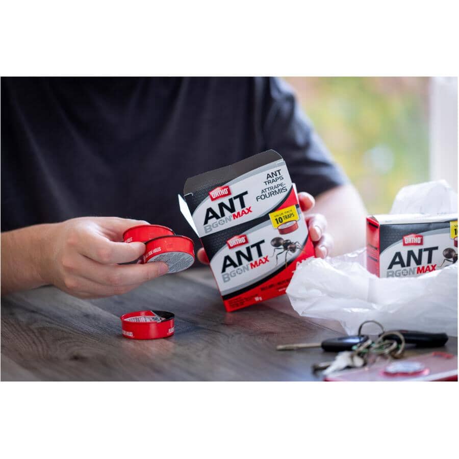 10 Pack Ant-B-Gon Traps