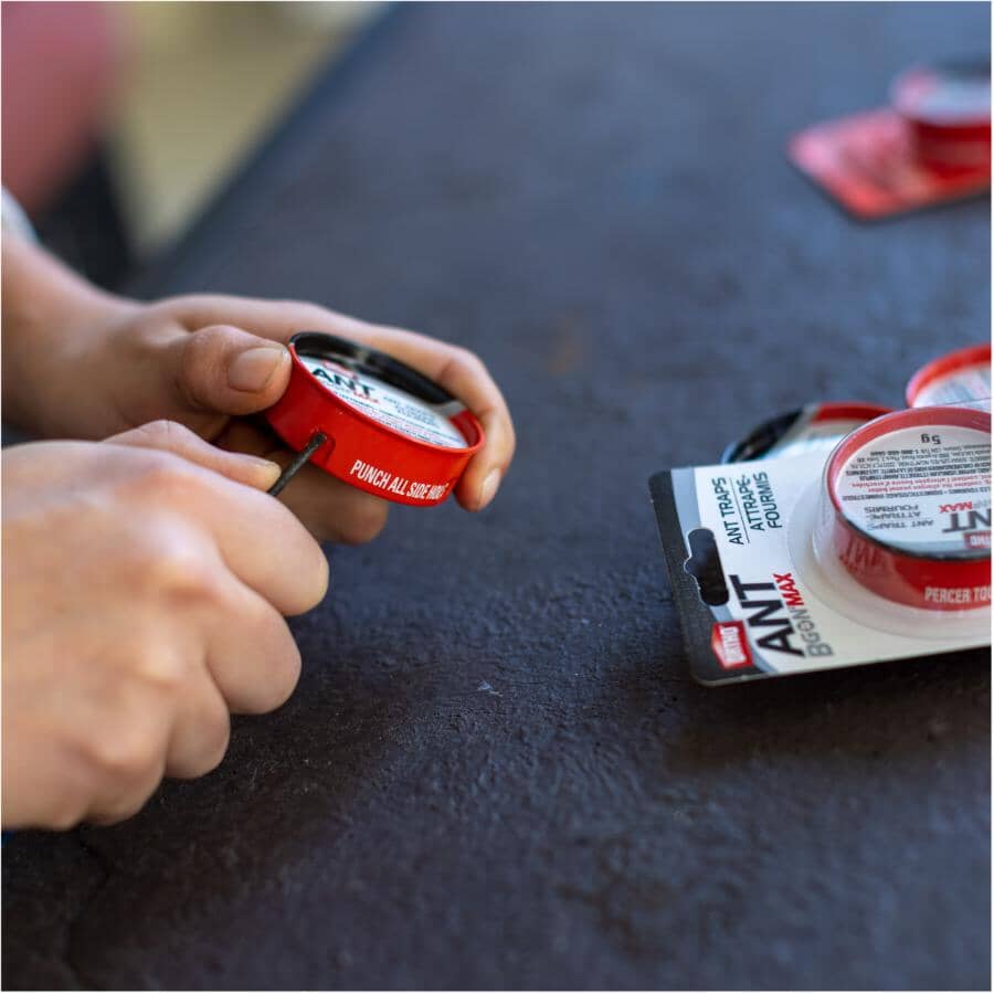 10 Pack Ant-B-Gon Traps