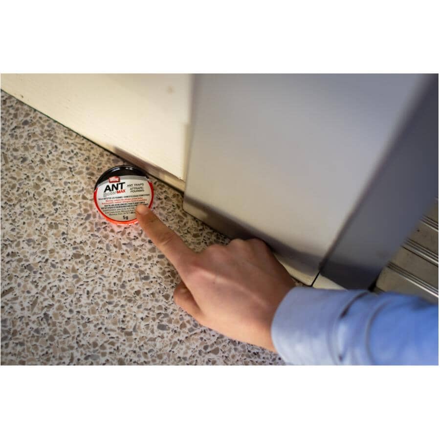 10 Pack Ant-B-Gon Traps