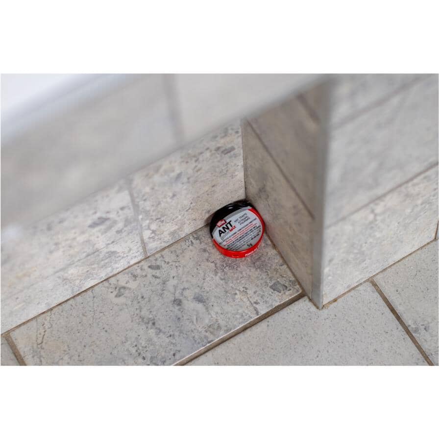 10 Pack Ant-B-Gon Traps