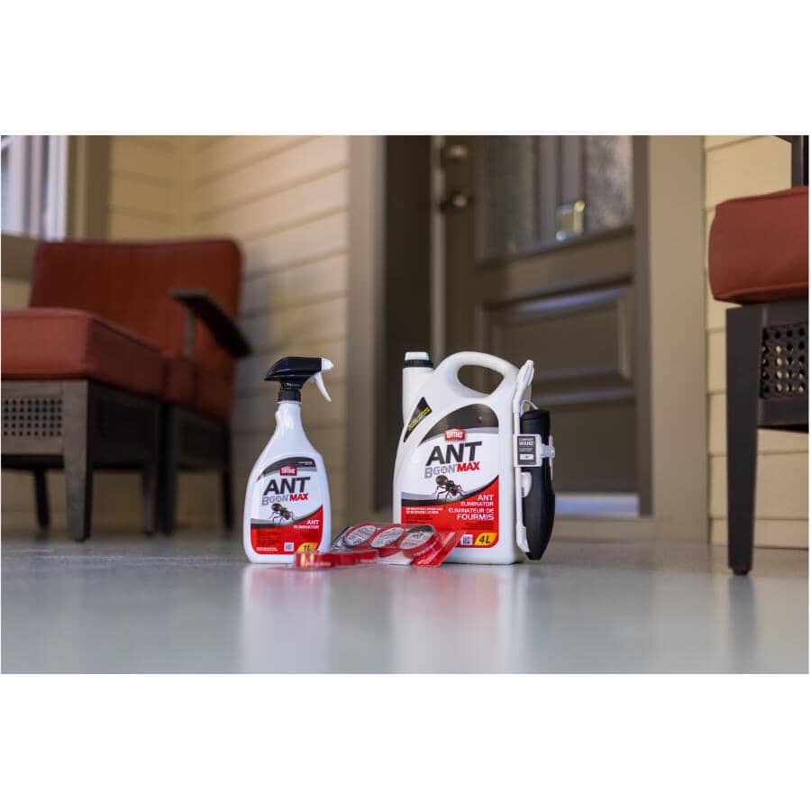 10 Pack Ant-B-Gon Traps